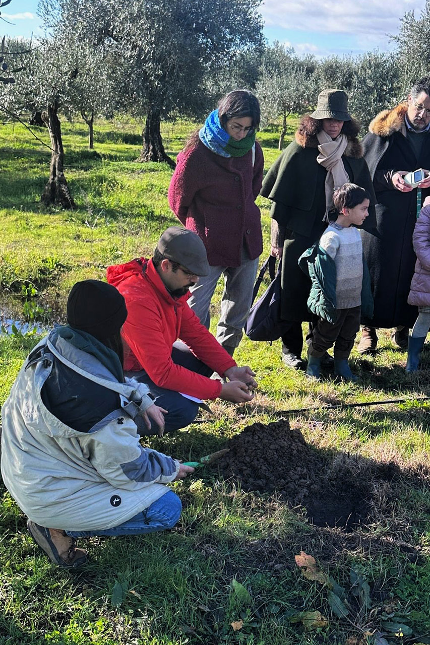 Pensar global, agir local